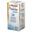 Modulax Junior Pegaso 100 ml